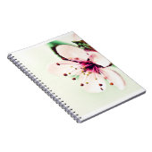 Carnet Fleur de cerise (Côté Droit)