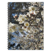 Carnet Fleur de cerisier blanc / Sakura / サクラ(桜) (Devant)