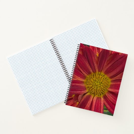 Carnet Fleur de chrysanthème (Intérieur)
