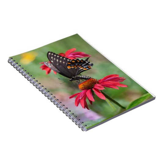 Carnet Fleur de cône noire orientale (Côté Droit)