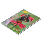 Carnet Fleur de cône noire orientale (Côté gauche)