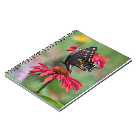 Carnet Fleur de cône noire orientale (Côté gauche)