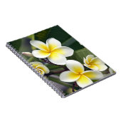 Carnet Fleur de frangipanier Îles Cook (Côté Droit)
