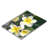 Carnet Fleur de frangipanier Îles Cook (Côté gauche)