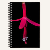 Carnet Fleur de Fuchsia rose vif sur fond noir (Recto)