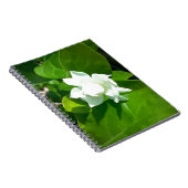 Carnet Fleur de jasmin de Sampaguita (Côté Droit)