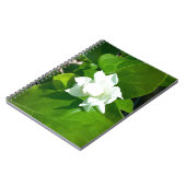 Carnet Fleur de jasmin de Sampaguita (Côté gauche)