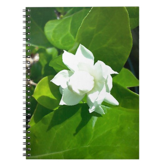Carnet Fleur de jasmin de Sampaguita (Devant)