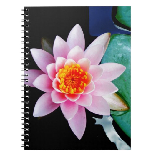 Carnet Fleur de laine d'eau chaude rose et orange de lotu (Devant)