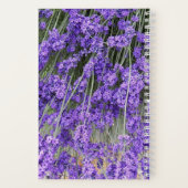 Carnet Fleur de lavande Herbe (Verso)