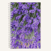 Carnet Fleur de lavande Herbe (Recto)