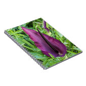 Carnet Fleur de Lys Dragon Pourpre en Fleur (Côté Droit)
