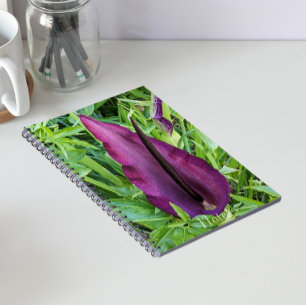 Carnet Fleur de Lys Dragon Pourpre en Fleur