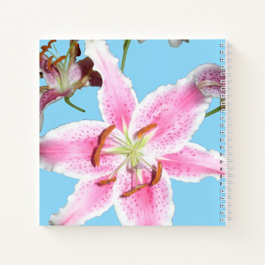 Carnet Fleur de Lys Rose sur Aqua (Dos)