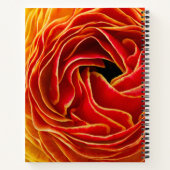 Carnet Fleur de macro | Champs de fleurs Carlsbad, CA (Dos)