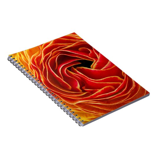 Carnet Fleur de macro| Champs de fleurs Carlsbad, CA (Côté Droit)