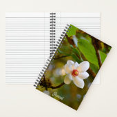 Carnet Fleur de Magnolia Blanc en Fleur (À l'intérieur)