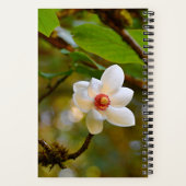 Carnet Fleur de Magnolia Blanc en Fleur (Verso)