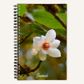 Carnet Fleur de Magnolia Blanc en Fleur (Recto)