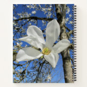 Carnet Fleur de Magnolia blanche dans l'arbre. (Dos)
