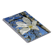 Carnet Fleur de Magnolia blanche dans l'arbre. (Côté Droit)