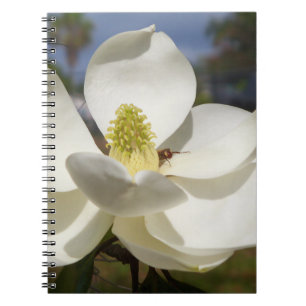 Carnet Fleur de Magnolia blanche et une abeille