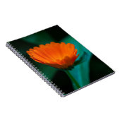 Carnet Fleur de marguerite orange (Côté Droit)