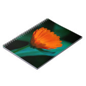 Carnet Fleur de marguerite orange (Côté gauche)
