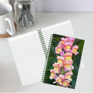 Carnet Fleur de muflier rose et jaune
