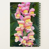 Carnet Fleur de muflier rose et jaune (Verso)