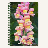 Carnet Fleur de muflier rose et jaune (Recto)
