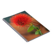 Carnet Fleur de Natal Bottlebrush (Greyia Sutherlandii) (Côté Droit)