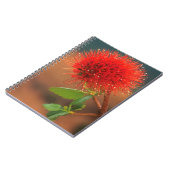 Carnet Fleur de Natal Bottlebrush (Greyia Sutherlandii) (Côté gauche)
