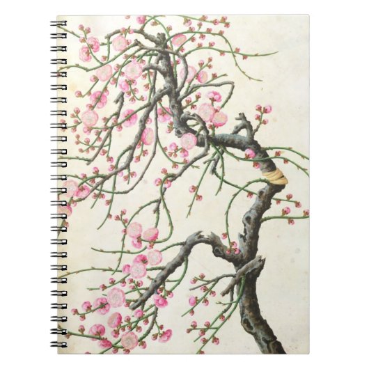 Carnet Fleur de pêche (couleur sur le papier) (Devant)