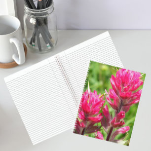 Carnet Fleur de Pinceau Magenta Floraison
