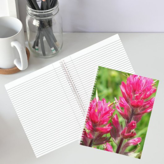 Carnet Fleur de Pinceau Magenta Floraison