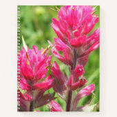 Carnet Fleur de Pinceau Magenta Floraison (Devant)