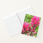 Carnet Fleur de Pinceau Magenta Floraison (Intérieur)