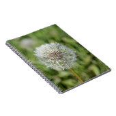 Carnet Fleur de pissenlit blanc sur herbe verte (Côté Droit)