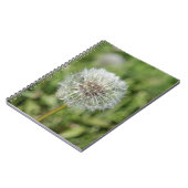 Carnet Fleur de pissenlit blanc sur herbe verte (Côté gauche)