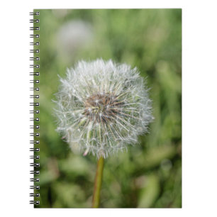 Carnet Fleur de pissenlit blanc sur herbe verte