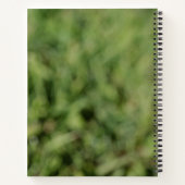 Carnet Fleur de pissenlit blanc sur herbe verte (Dos)