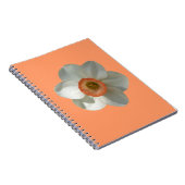 Carnet Fleur de printemps de jonquille rose (Côté Droit)