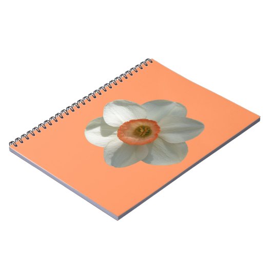 Carnet Fleur de printemps de jonquille rose (Côté gauche)