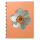 Carnet Fleur de printemps de jonquille rose (Devant)
