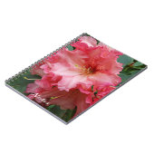 Carnet Fleur de Rhododendron rose (Côté gauche)