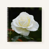 Carnet Fleur de rose blanche (Devant)