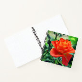 Carnet Fleur de rose de la nature-46458 (Intérieur)