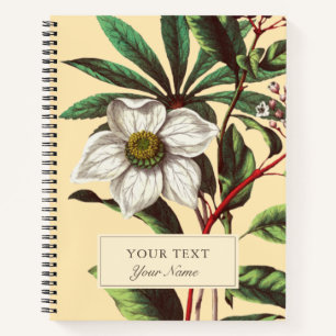 Carnet Fleur de Rose de Noël vintage