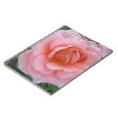 Carnet Fleur de Rose Rose Pâle (Côté gauche)